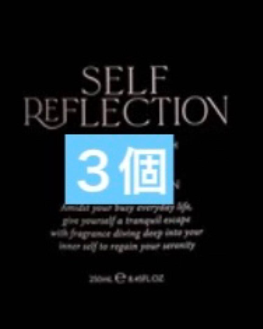 SELF REFLECTION ザハンドウォシュ ムーントゥームーン 250ml