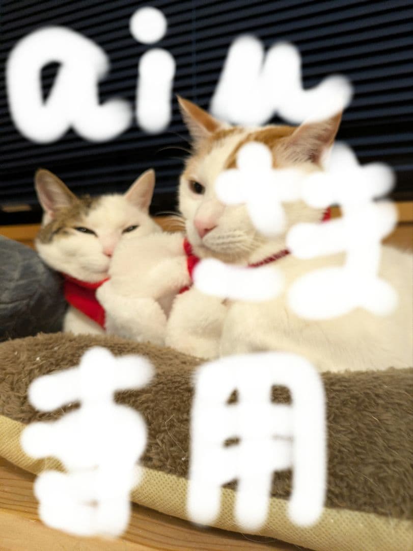 クレンジング２ケ