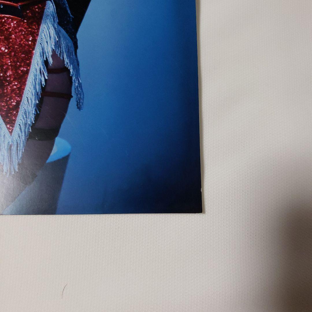 女子プロレス スターダム ひめか ポートレート - メルカリ