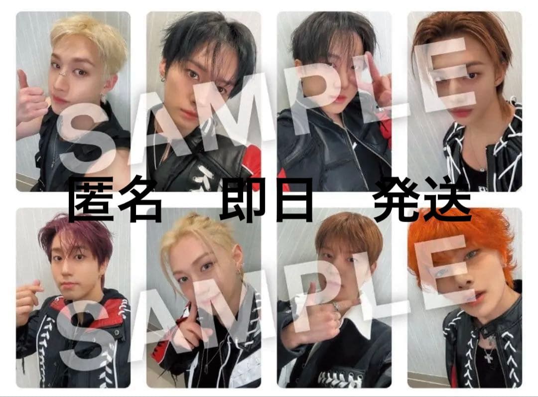 straykids hollow オフイベ 東京 幕張 会場限定 トレカ セット