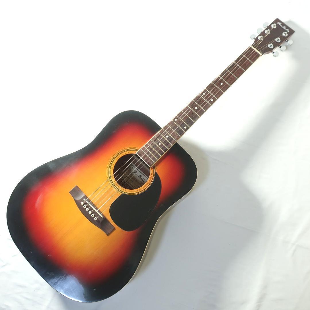 Pro Martin W-180 TS アコースティックギター