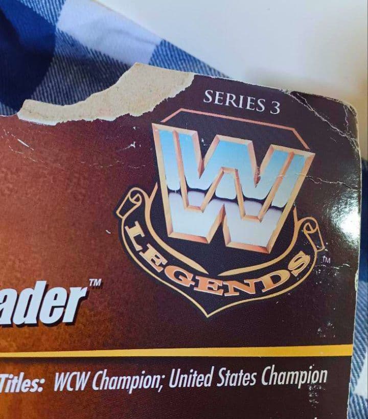 WWE ビッグバンベイダー フィギュア(訳あり) - メルカリ