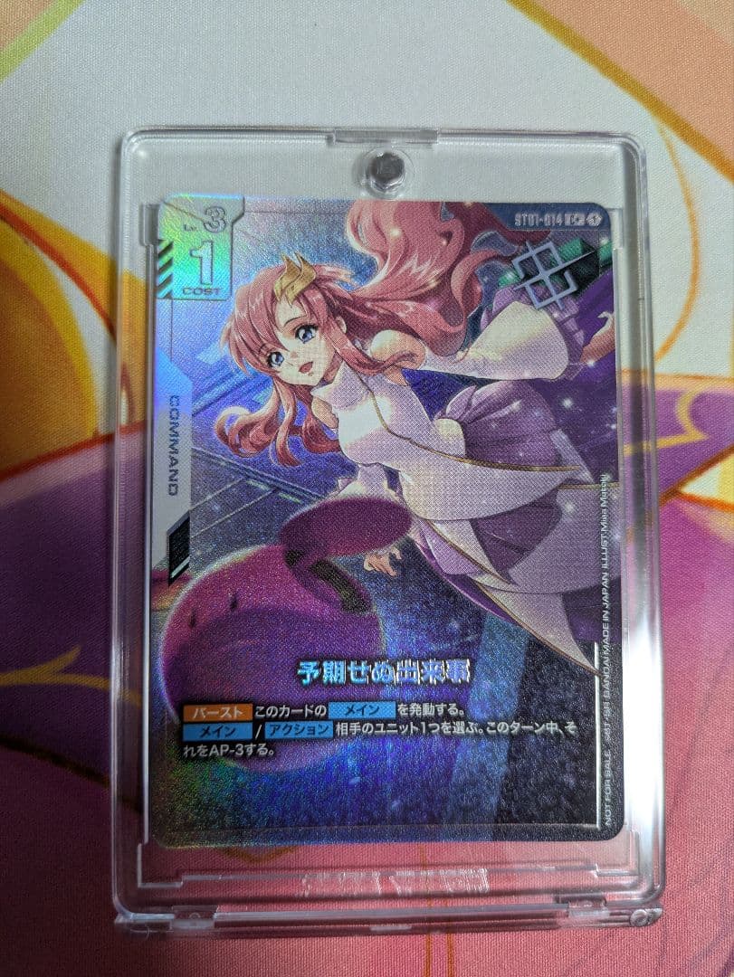 予期せぬ出来事　パラレル　ラクス