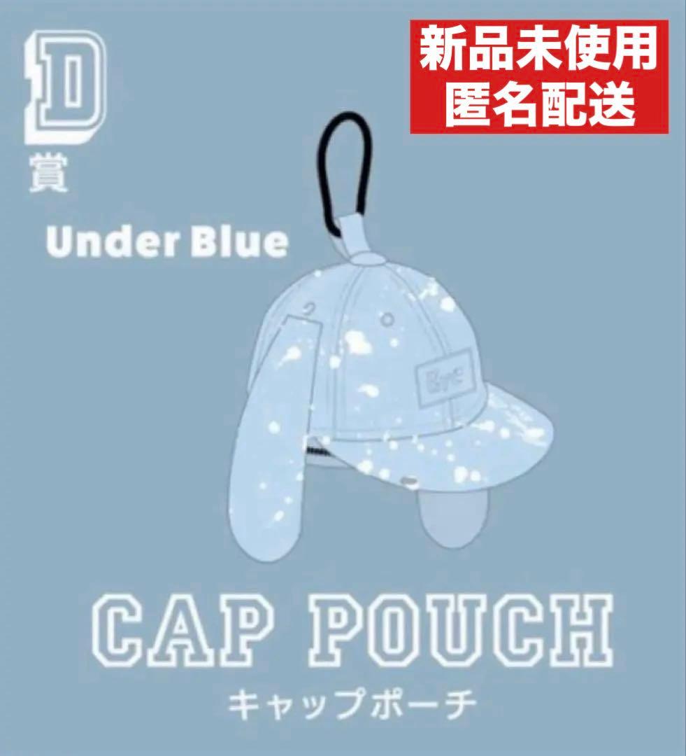 24時間以内発送！Eve くじ キャップポーチ underblue