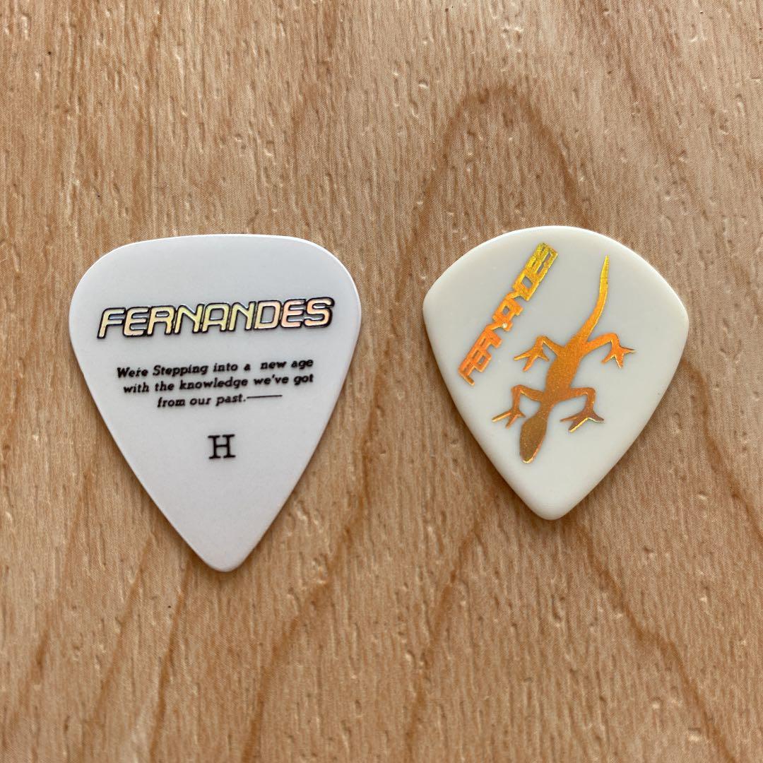 L'Arc〜en〜Ciel】Kenさん使用 ギターピック トカゲ - メルカリ