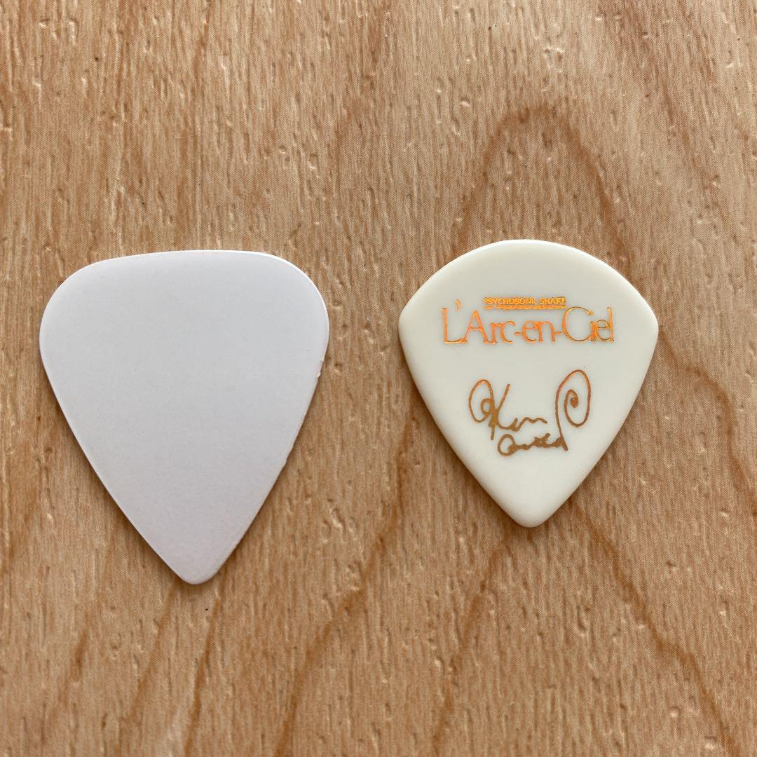 L'Arc〜en〜Ciel】Kenさん使用 ギターピック トカゲ - メルカリ