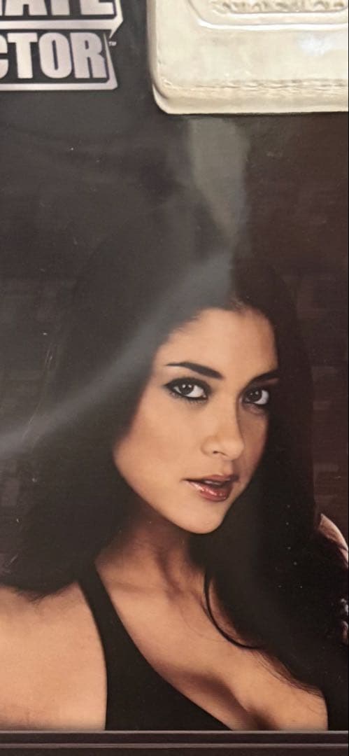 アリアニー・セレステ ラウンド5 UFC アルティメット コレクター