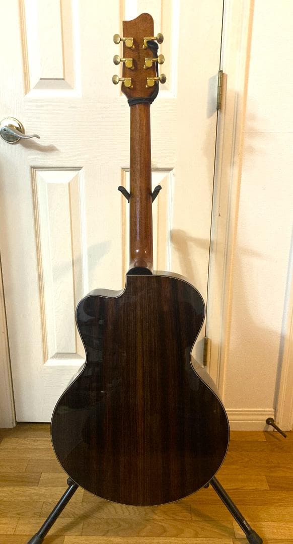 TACOMA ECR38C L.R.Baggs Dual Source　Char