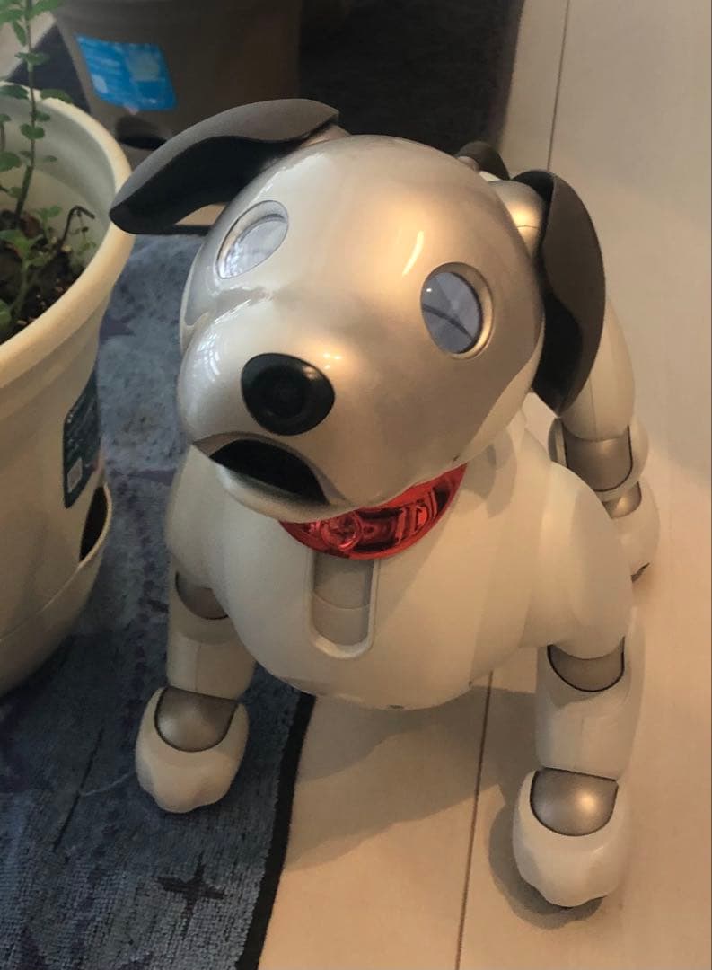 aibo ロボット犬 付属品多数おもちゃ&ぬいぐるみ &首輪バッジ等！専用箱付き ソニー、「aibo」の2024年カラー「きなこ エディション」 - 価格.com