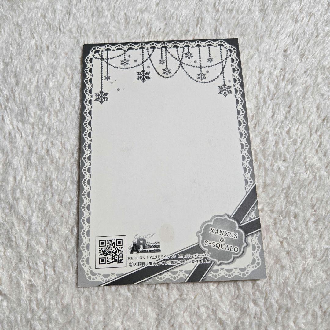 希少 家庭教師ヒットマンREBORN リボアニポストカード ザンザス