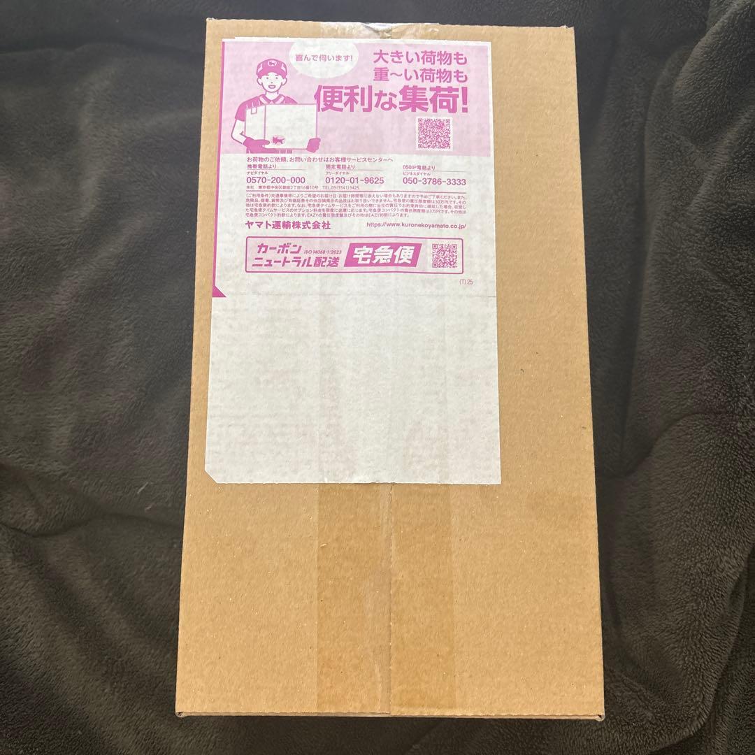 未開封 ポケモンセンターヒロシマ スペシャルBOX スペシャルBOX『ポケモンセンターヒロシマ』【未開封BOX】{-}