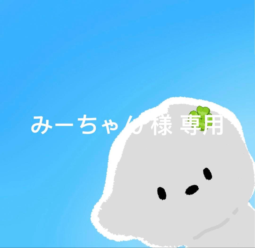 みーちゃん 