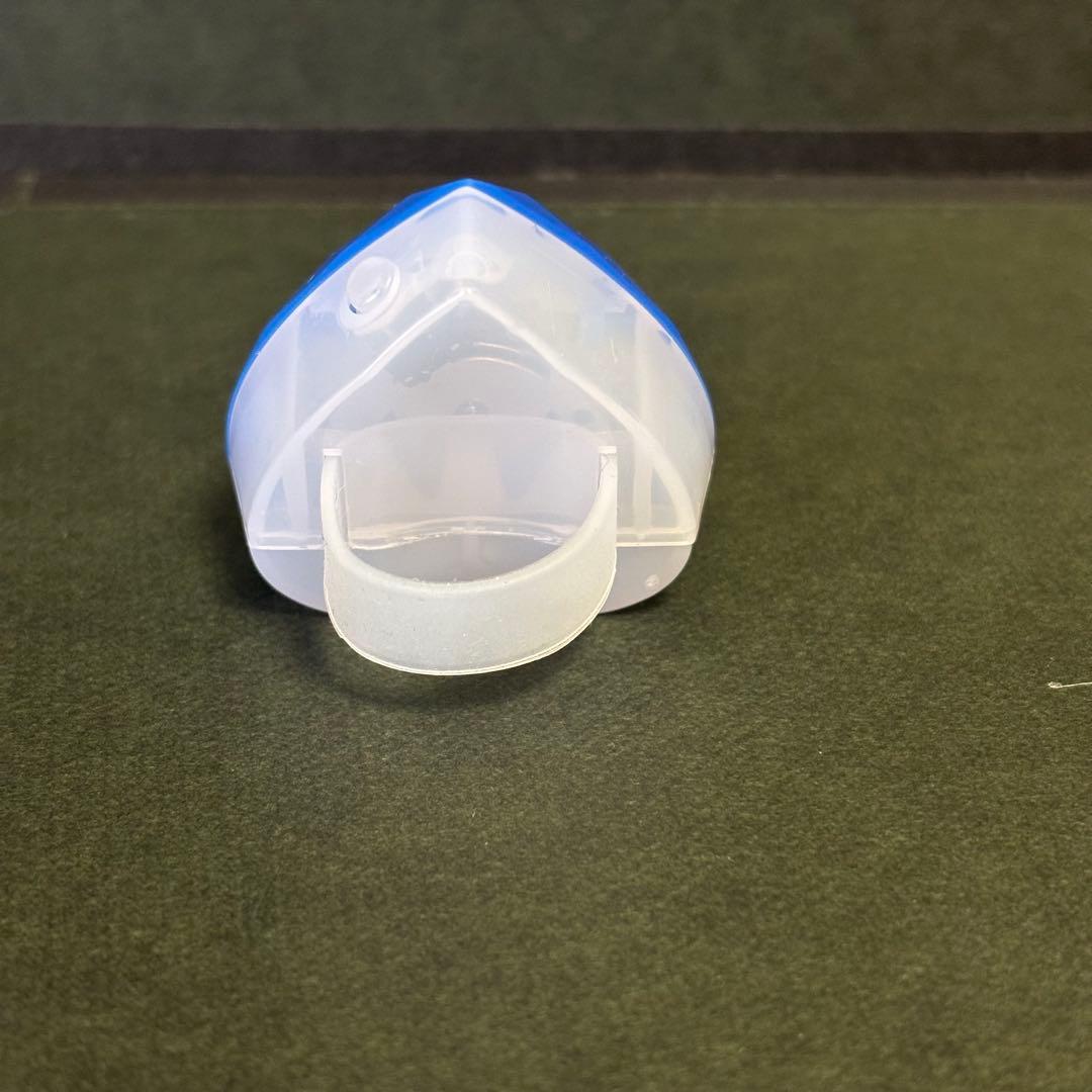 カラフルピーチ リングライト 東武動物公園 なおきり からぴち - メルカリ