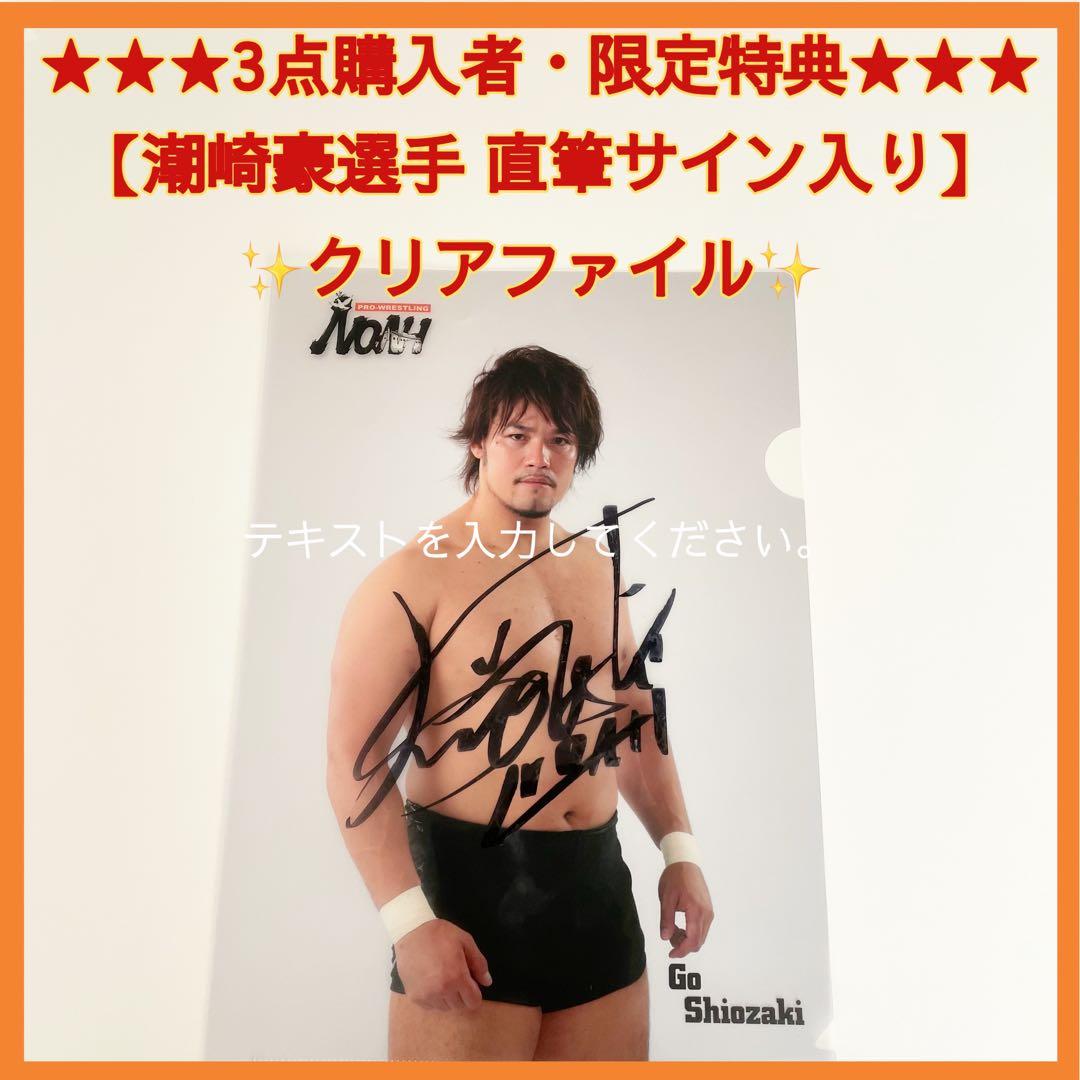 ❤️新品未使用❤️ 【潮崎豪選手直筆サイン入り】《Tシャツ・S