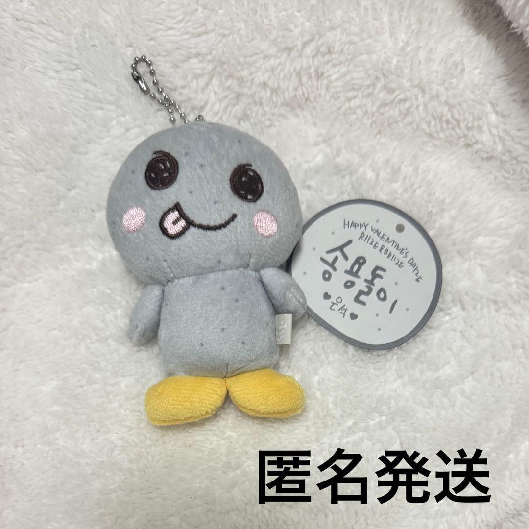 RIIZE ウンソク ぬいぐるみ ソヨンドリ 公式 - メルカリ