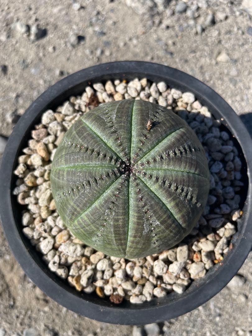 sin.723 キャンセルでも大丈夫です☺︎