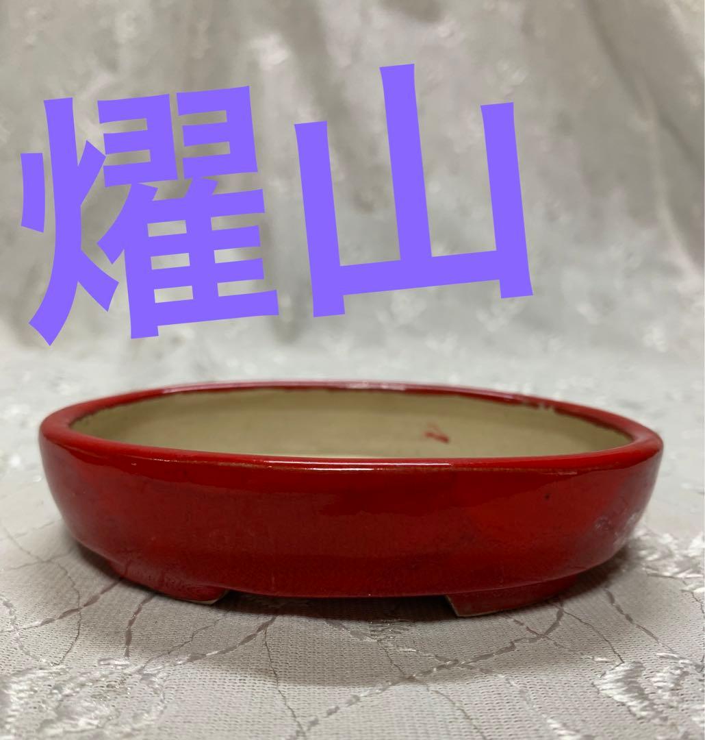 燿山　楕円　赤　盆栽鉢
