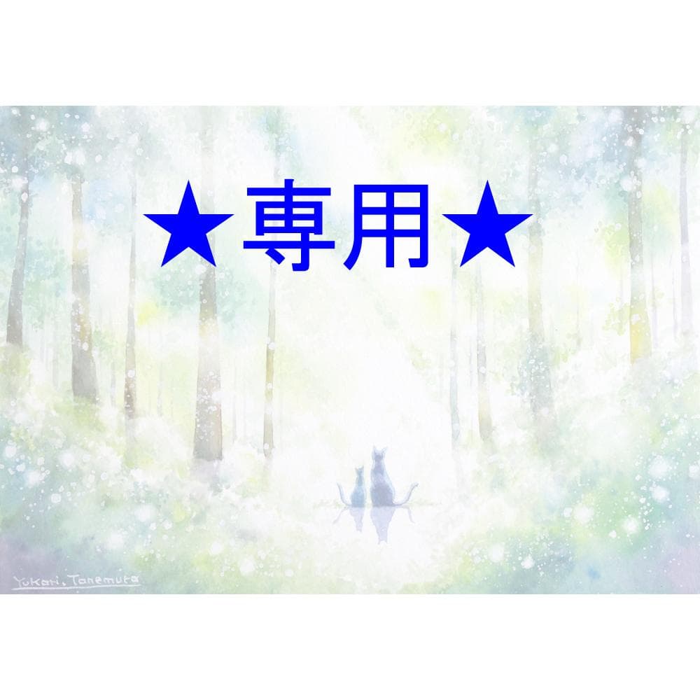 まんまるさま専用（原画）豊かな輝き ほか　6点おまとめ