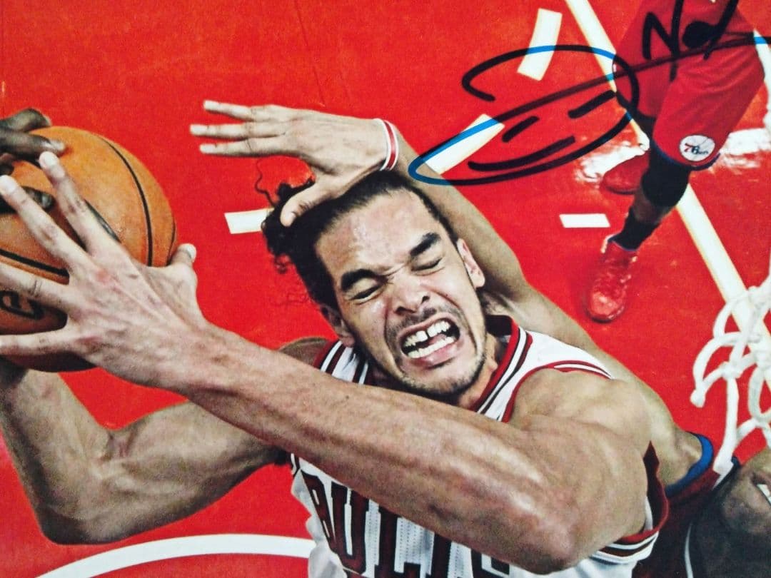 ジョアキム・ノア直筆サイン入り超 大型写真…Joakim Noah ジョアキム・ノア直筆サイン入り超 大型写真…Joakim Noah… - メルカリ