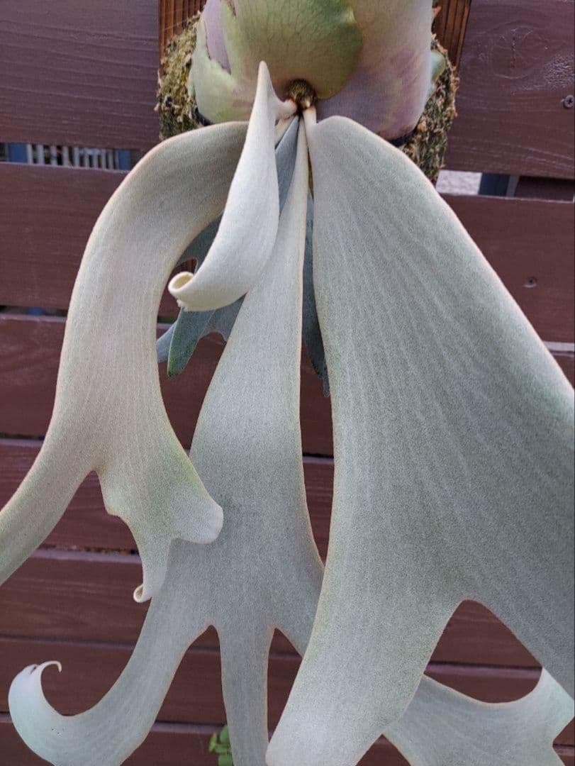 原画 クボ圭太 THREE MEN IN A BOAT 絵画 ボートの三人男