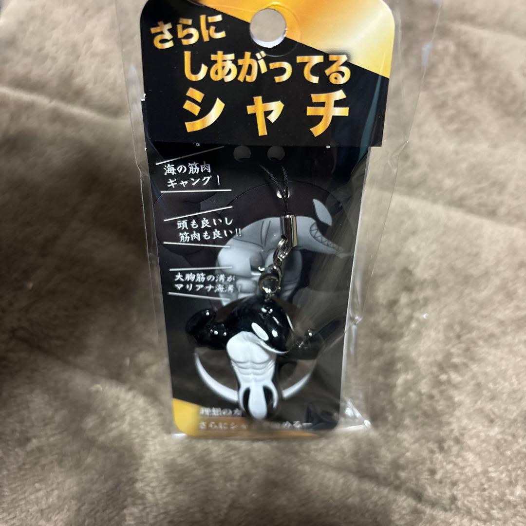 須磨シーワールド さらにしあがってるシャチ 新品未開封 SnowMan 岩本