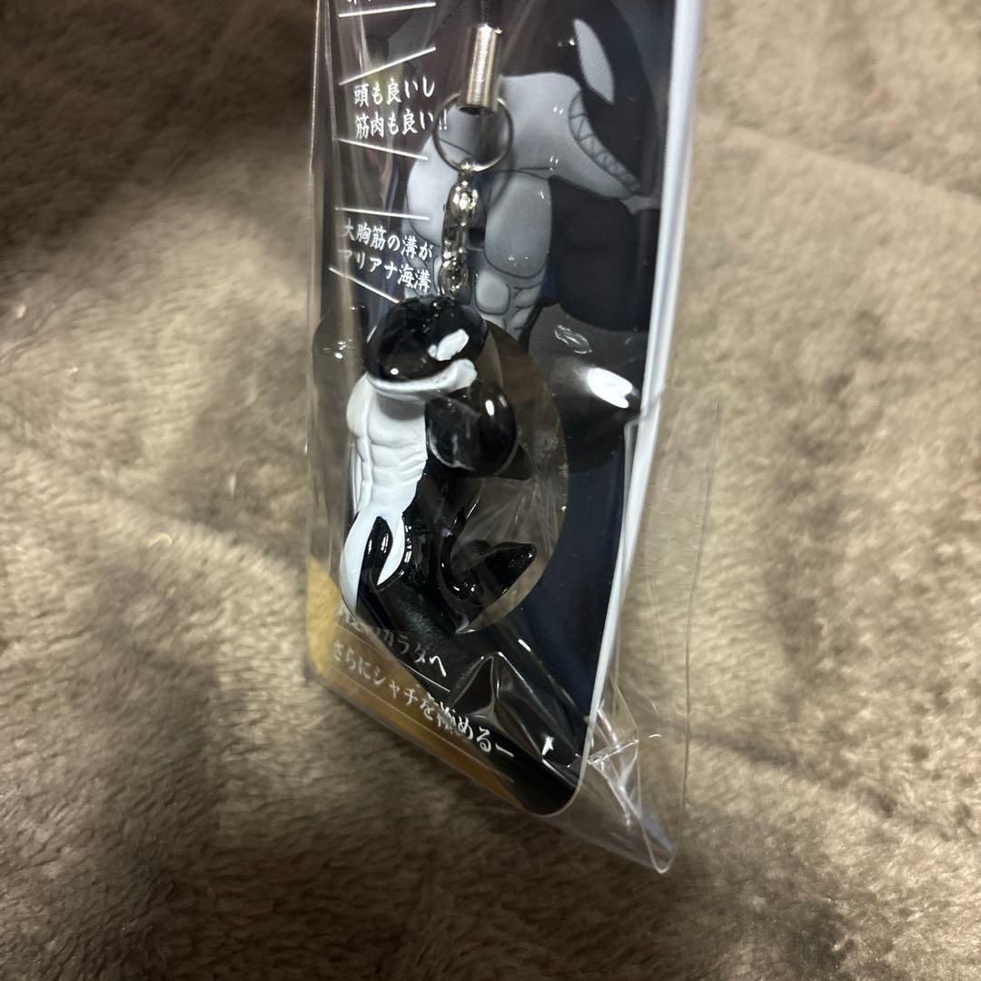 須磨シーワールド さらにしあがってるシャチ 新品未開封 SnowMan 岩本