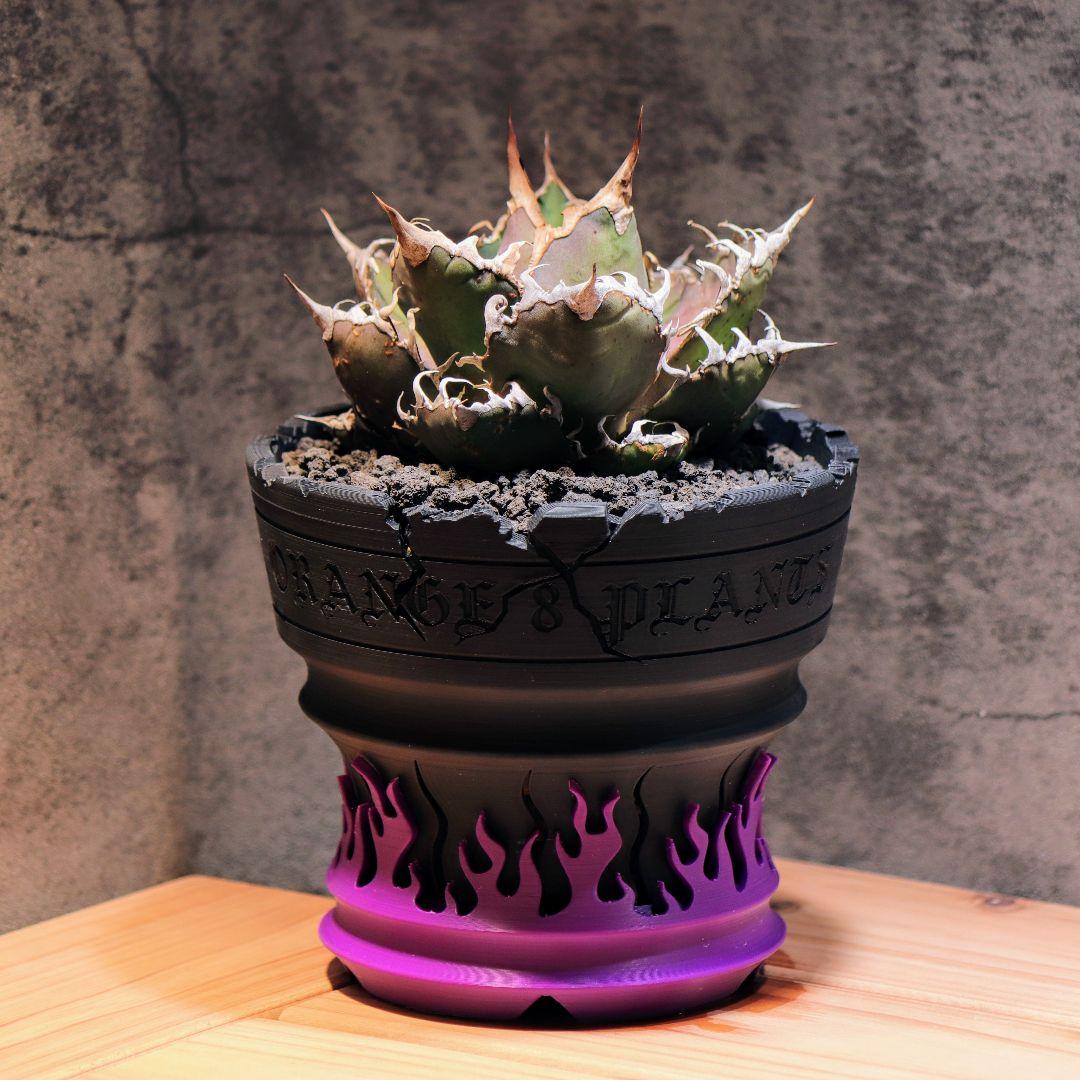 炎影鉢 4号 パープル 作家鉢 植木鉢 アガベ ファイヤーパターン - メルカリ