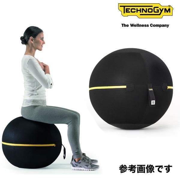 テクノジム アクティブシッティング バランスボールチェア 55cm