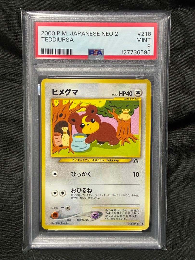 世界65枚 PSA9 ヒメグマ 旧裏 2000 216 33