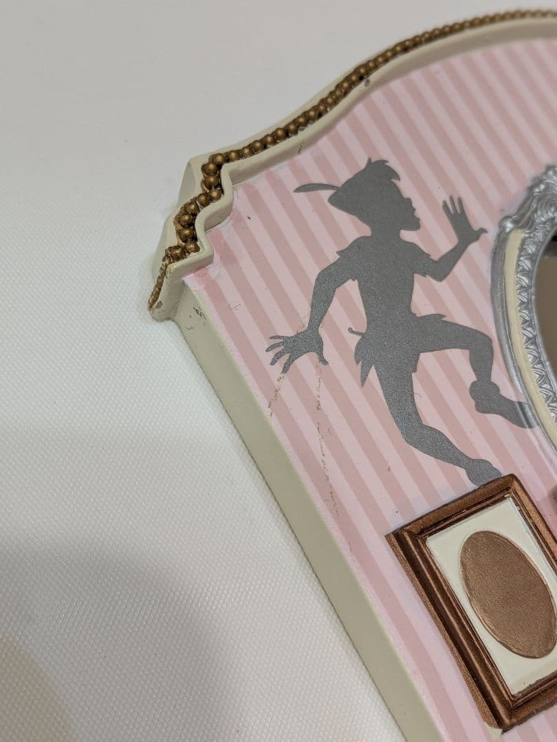 ディズニーストア 30周年 ピーターパン アクセサリーケース - メルカリ