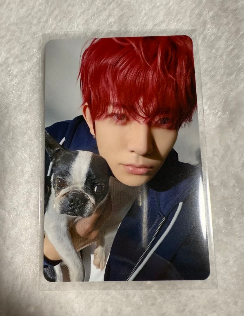 ENHYPENアンケートトレカ2025 ヒスン