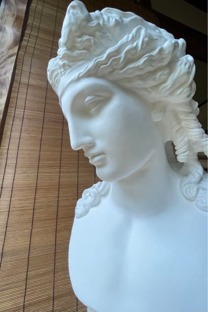 アリアス 石膏像 胸像 - メルカリ