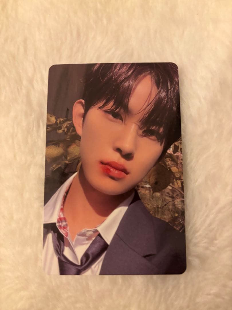 ALD1 ゴヌ Euphoria plus chat 特典トレカ 自由ポーズ - メルカリ