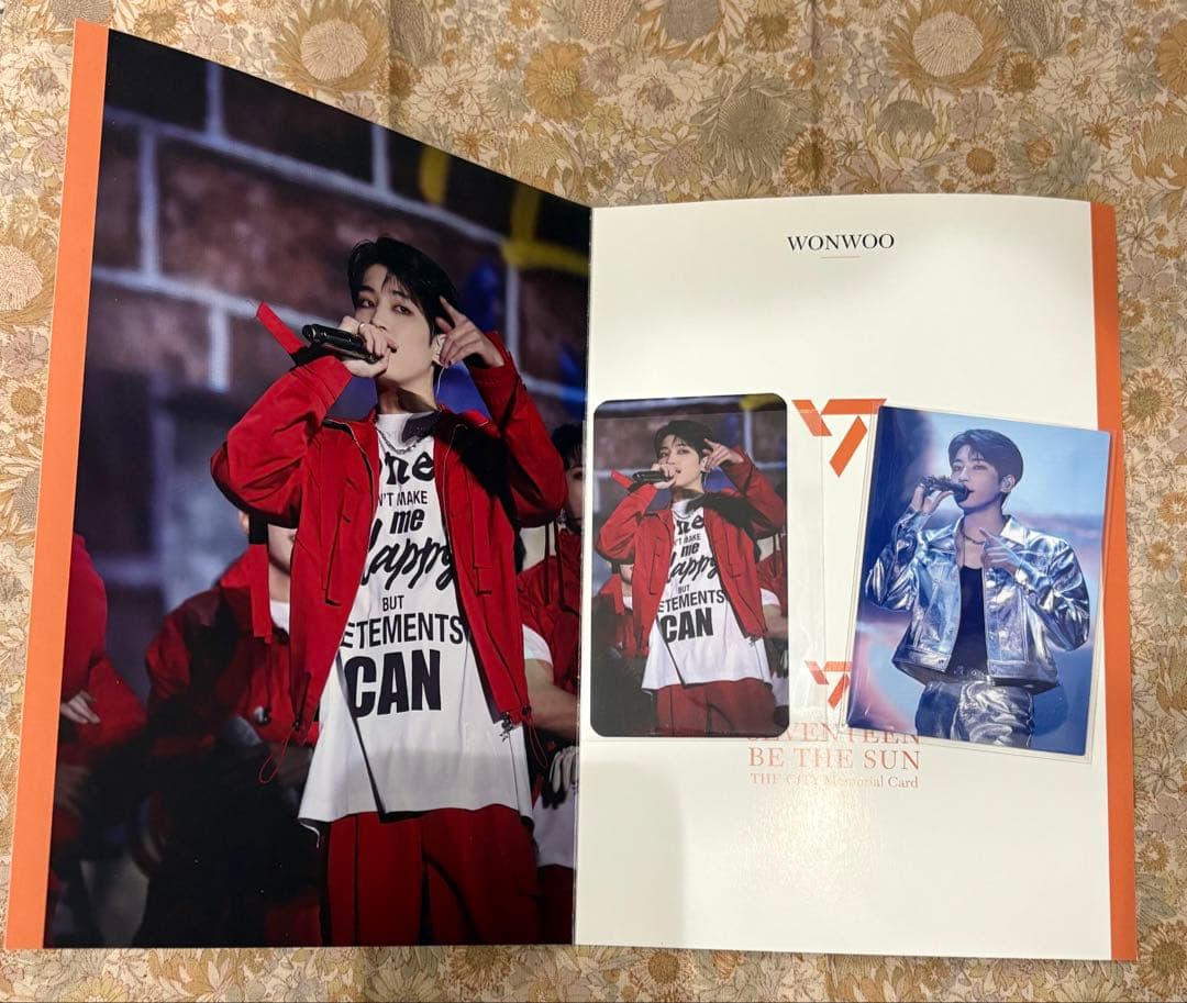 SEVENTEEN ウォヌ ラピート 台紙 トレカ