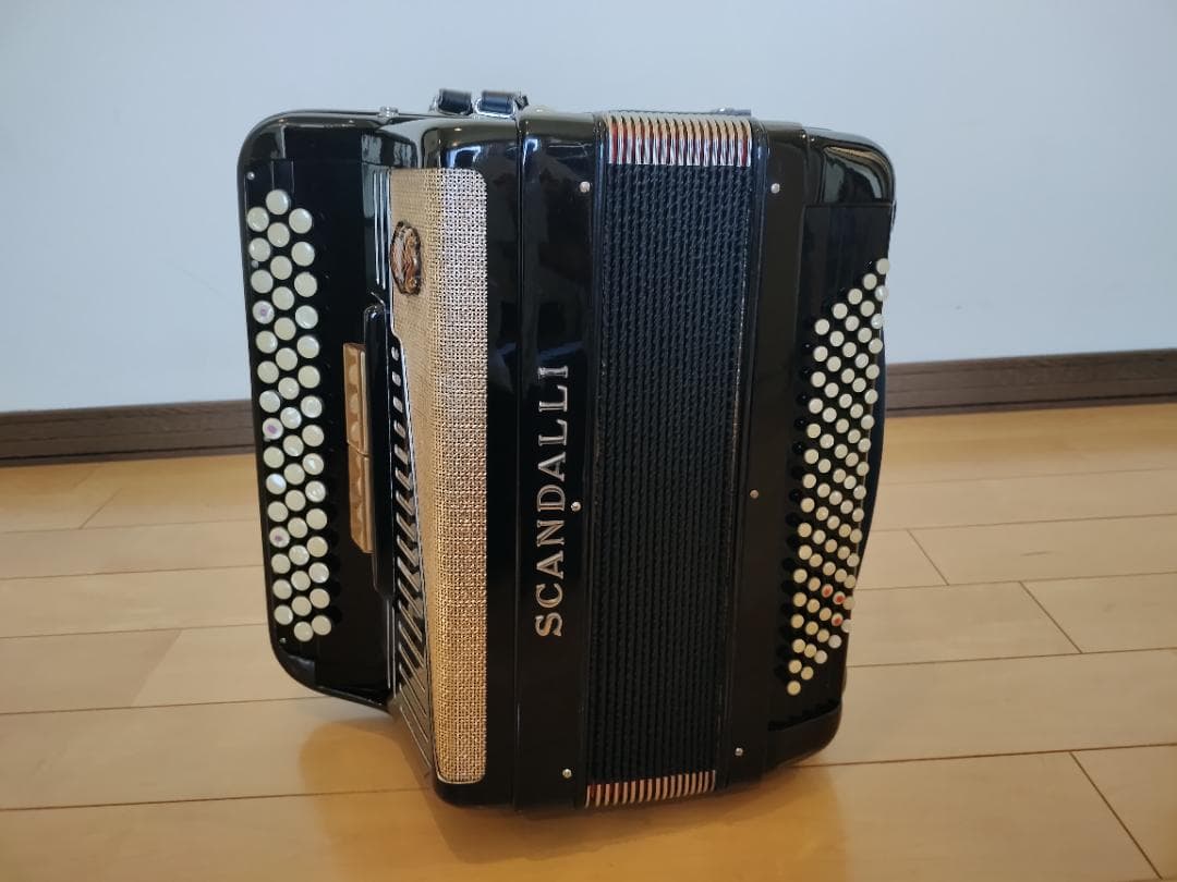 ⭐︎イタリア製⭐︎SCANDALLI ボタン式アコーディオン ソフトケース付