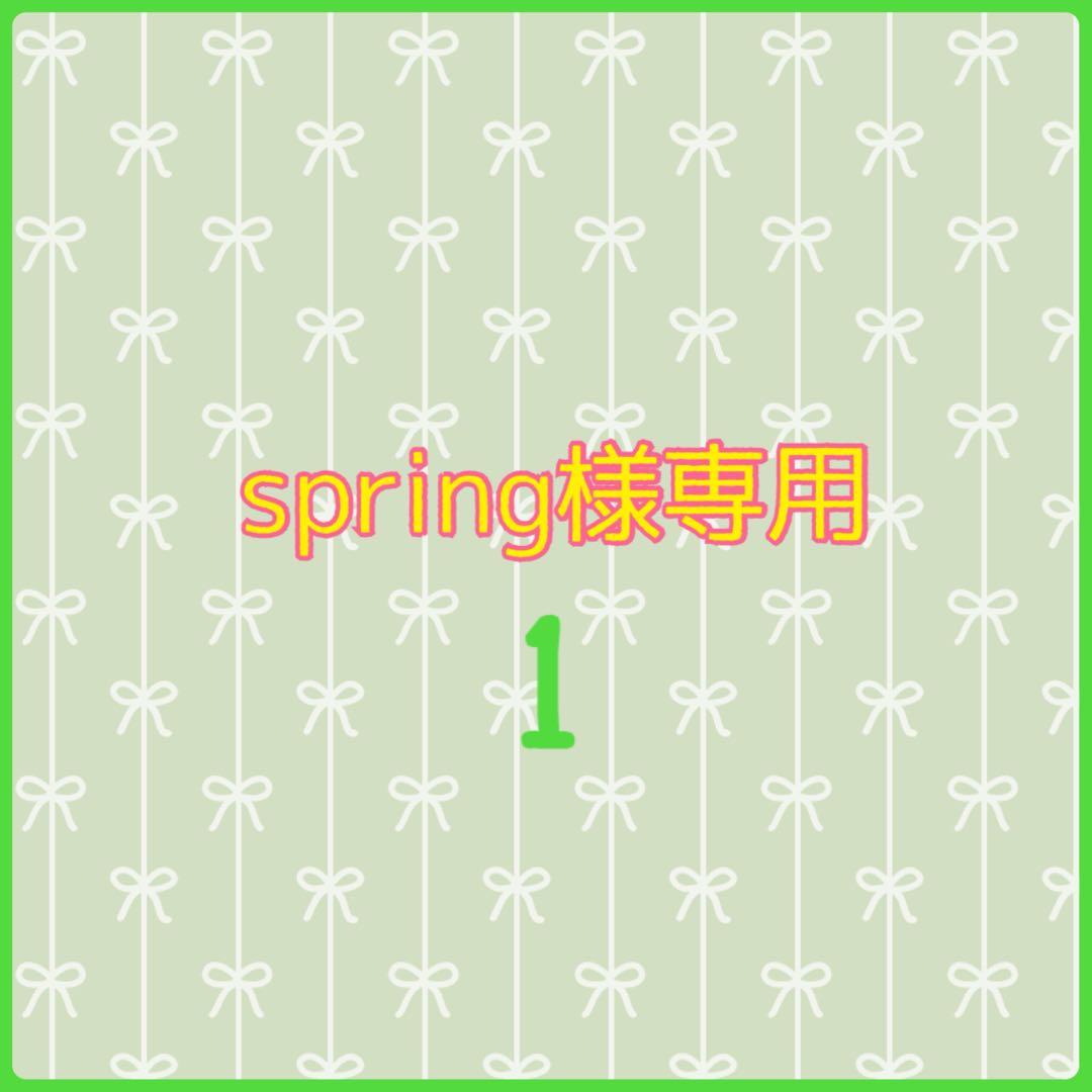 spring1 棚