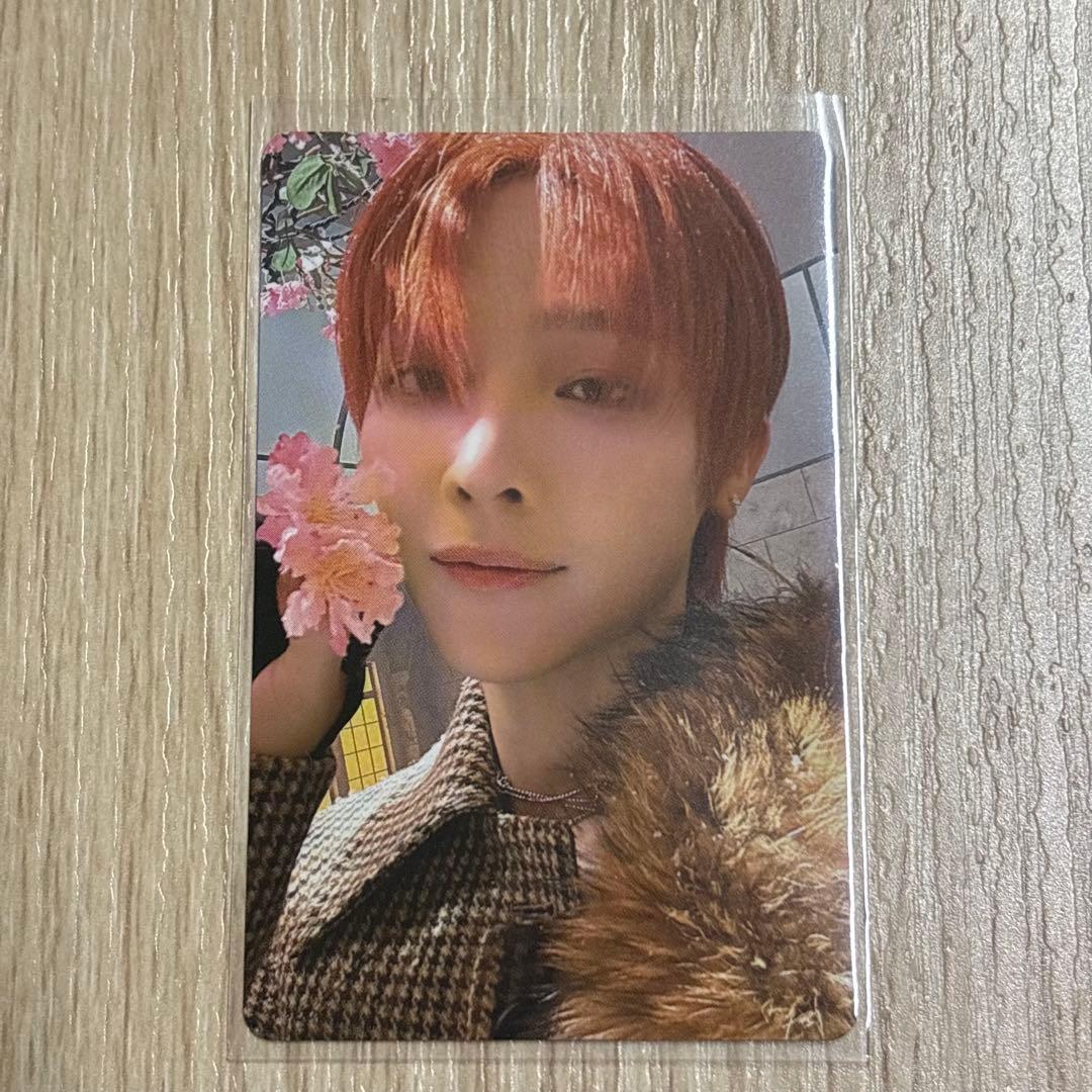 &TEAM NICHOLAS 雪明かり （n-0017） - メルカリ