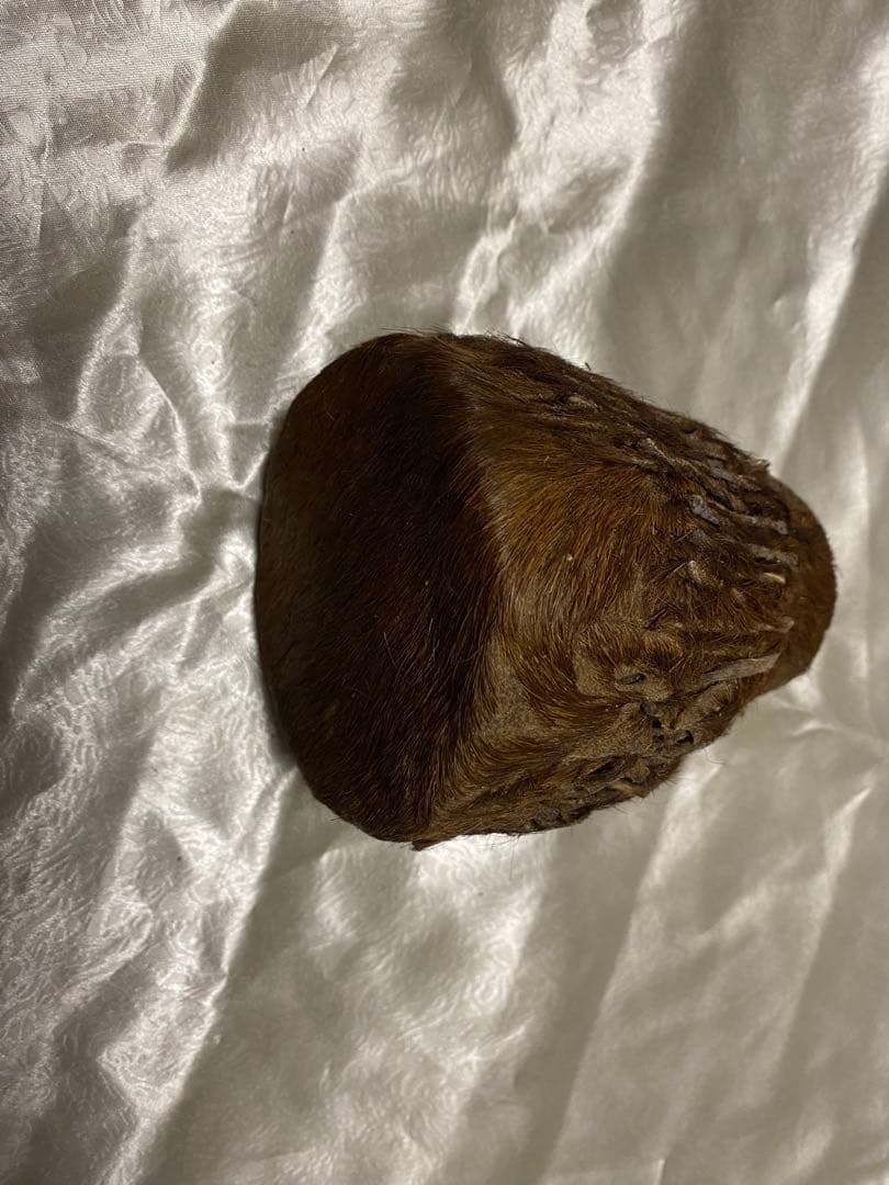 バッファロー革太鼓　ケニア　現地購入 この革、質感が凄まじい Lcbxのバッファローレザージャケット