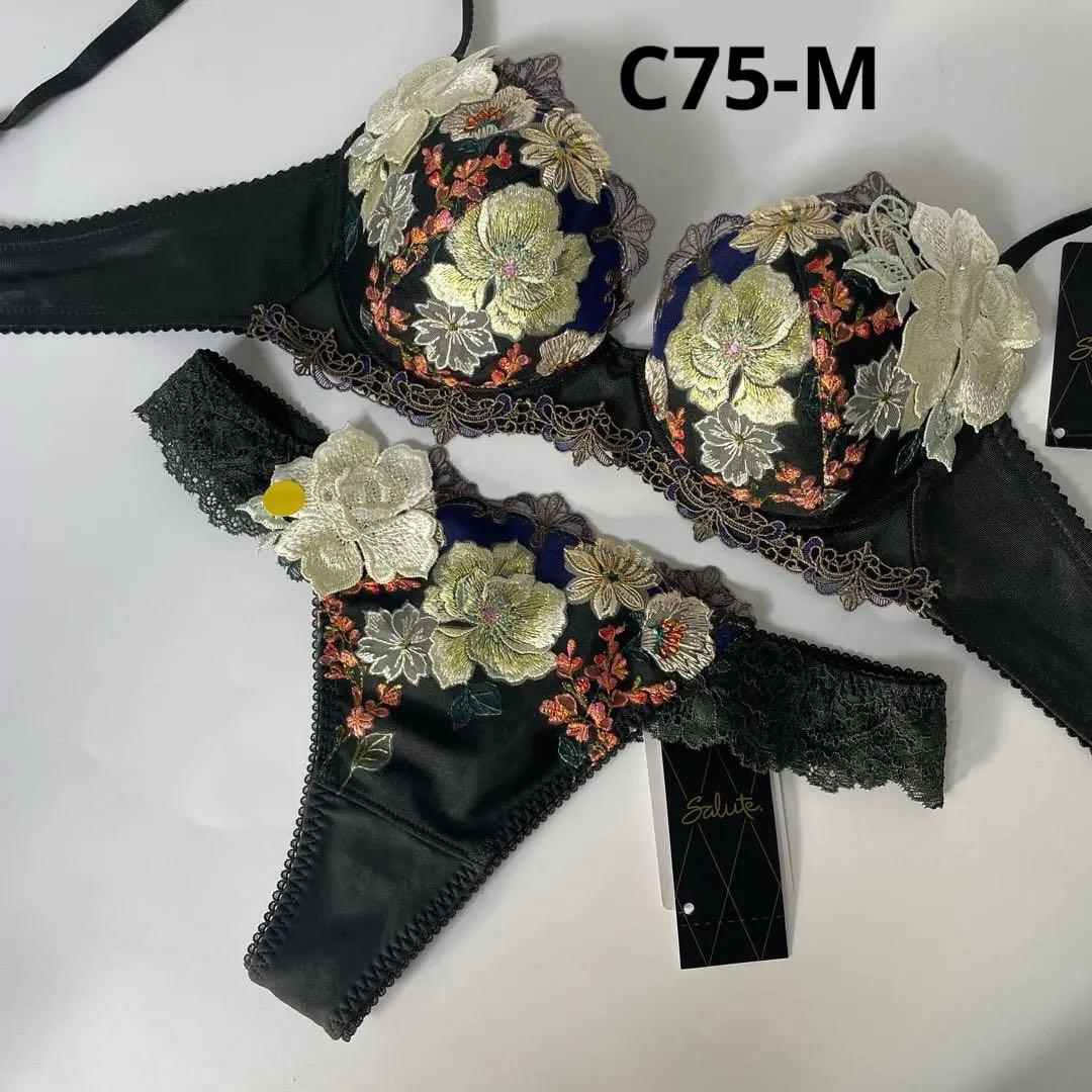 サルート　93g ニューヨーク　P-upブラ　セットC75M