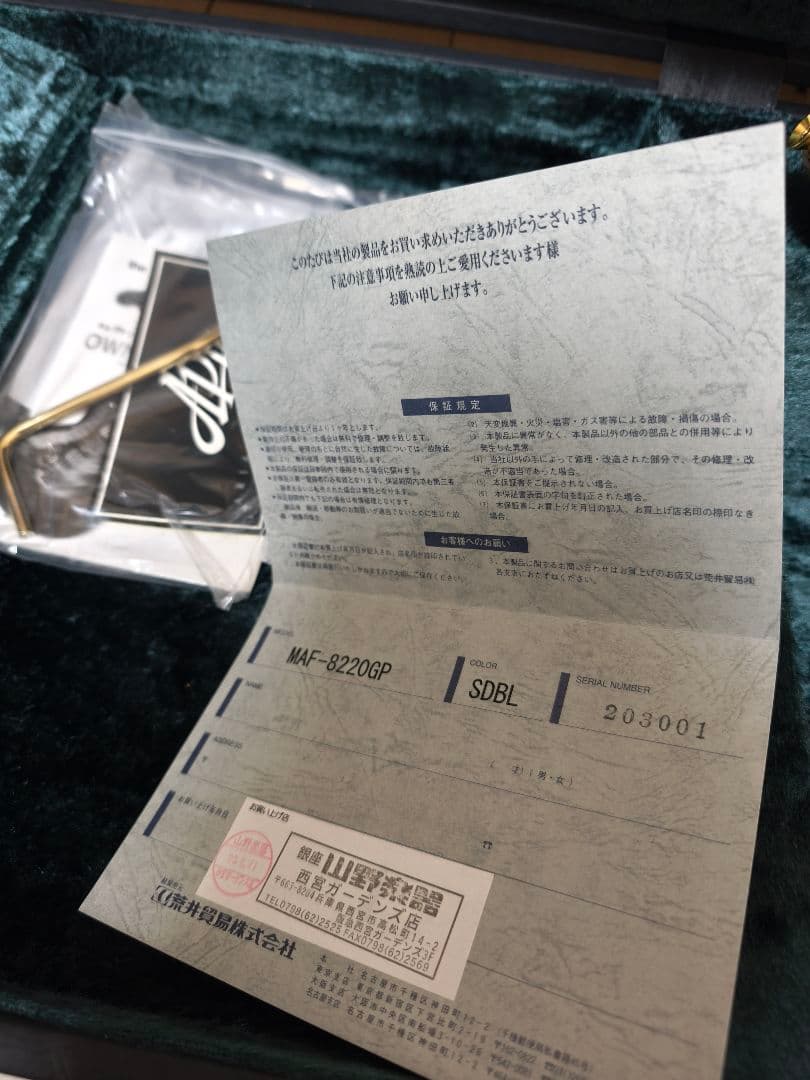 APII MAF-8220GP SDBL ステンレスフレット打ち替え済 美品 - メルカリ