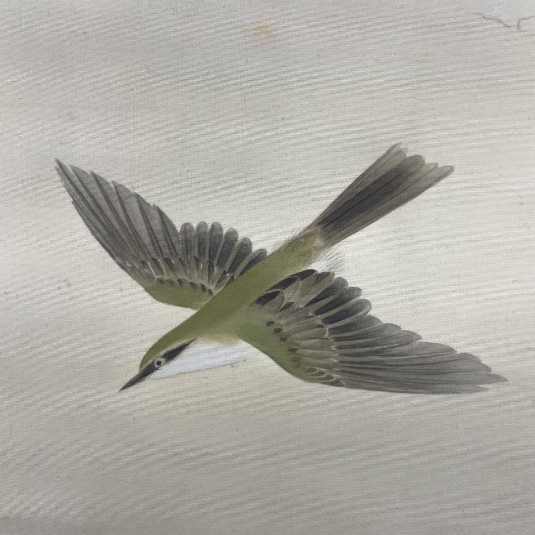 真作/養父清直/耶生/雪中南天鴬図/花鳥/桐共箱付/布袋屋掛軸A-321