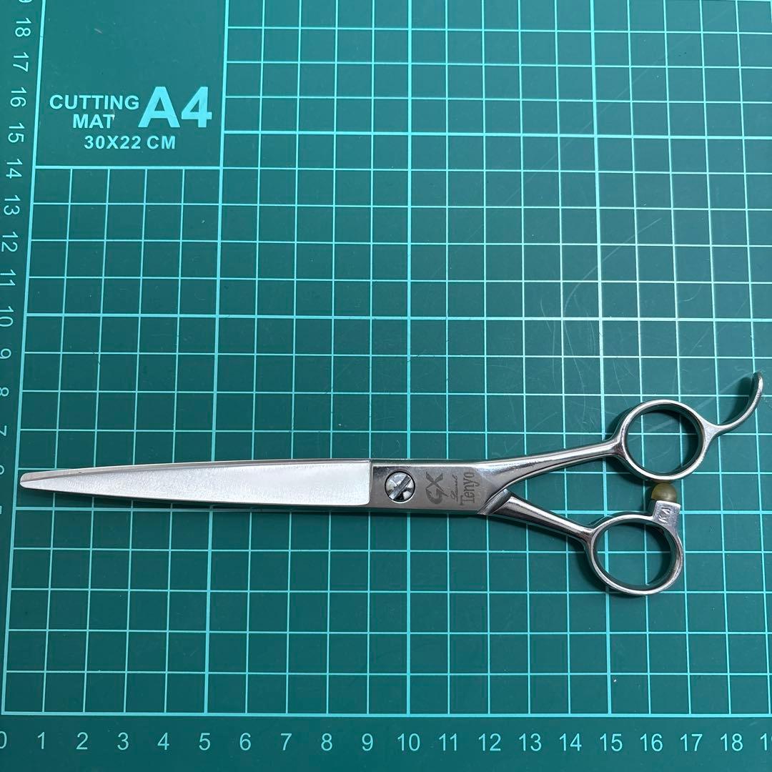 天洋シザー　GX