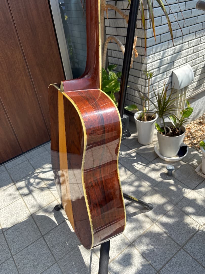 Morris W-60 トップ単板 サイド、パックはハカランダ - メルカリ