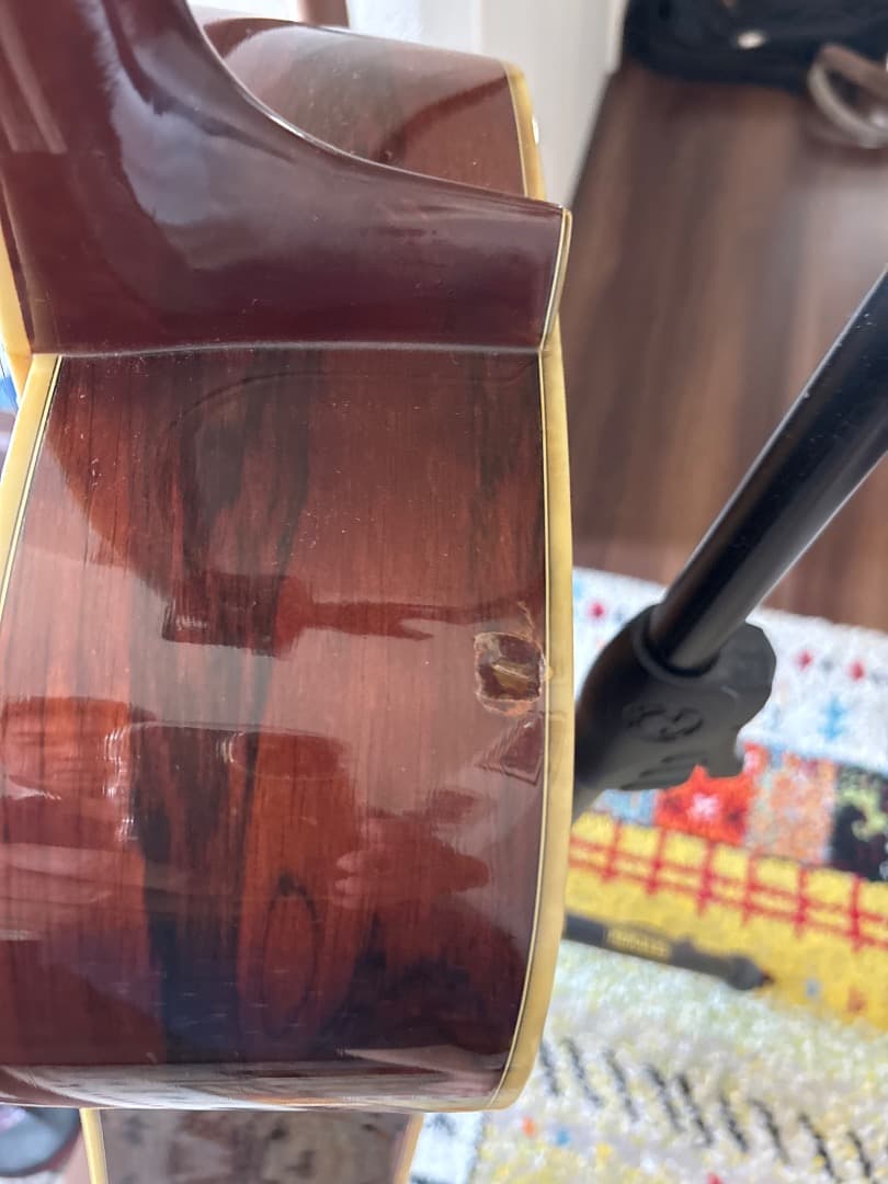 Morris W-60 トップ単板 サイド、パックはハカランダ - メルカリ