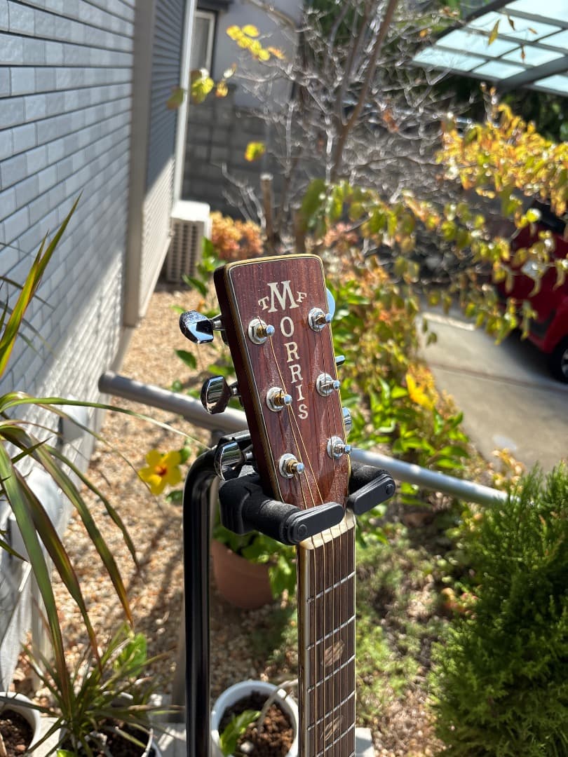 Morris W-60 トップ単板 サイド、パックはハカランダ - メルカリ