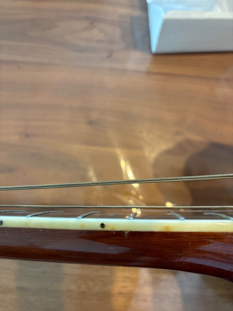 Morris W-60 トップ単板 サイド、パックはハカランダ - メルカリ