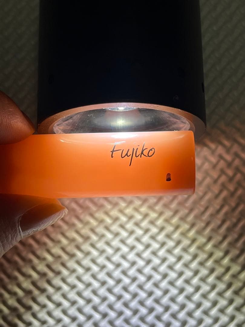 リップ　確認用