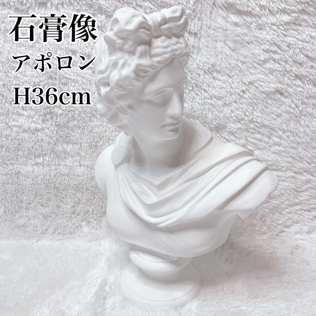 石膏像 アポロン ￼￼￼￼￼アポロ 胸像 デッサン 美術 彫刻 オブジェ 石膏像 アポロン 胸像 石川古代彫刻 デッサン 受験用を買取いたしまし