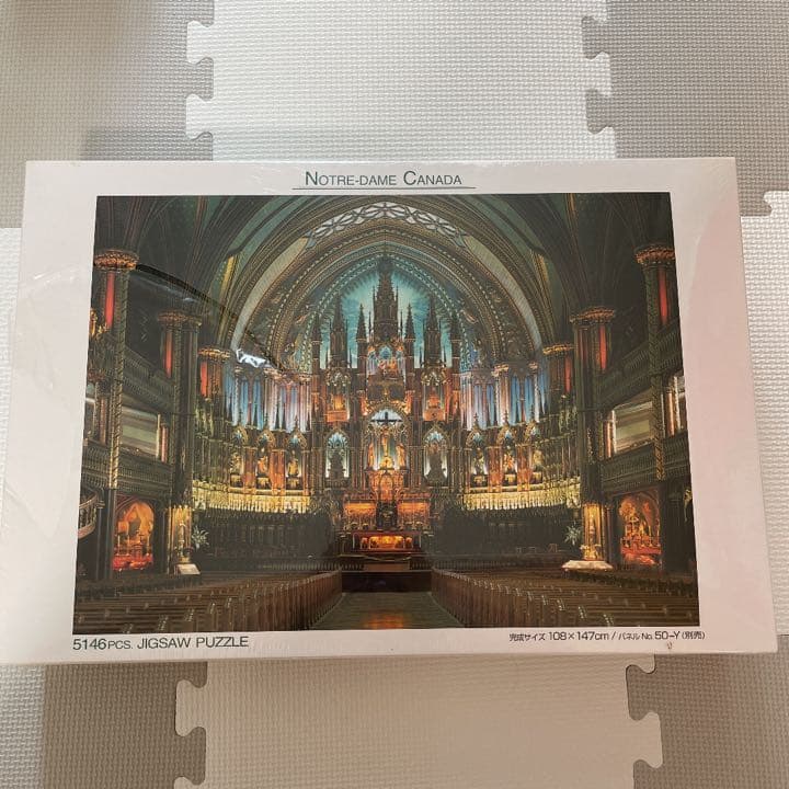 ジグソーパズル5146P＊ノートルダム大聖堂カナダ