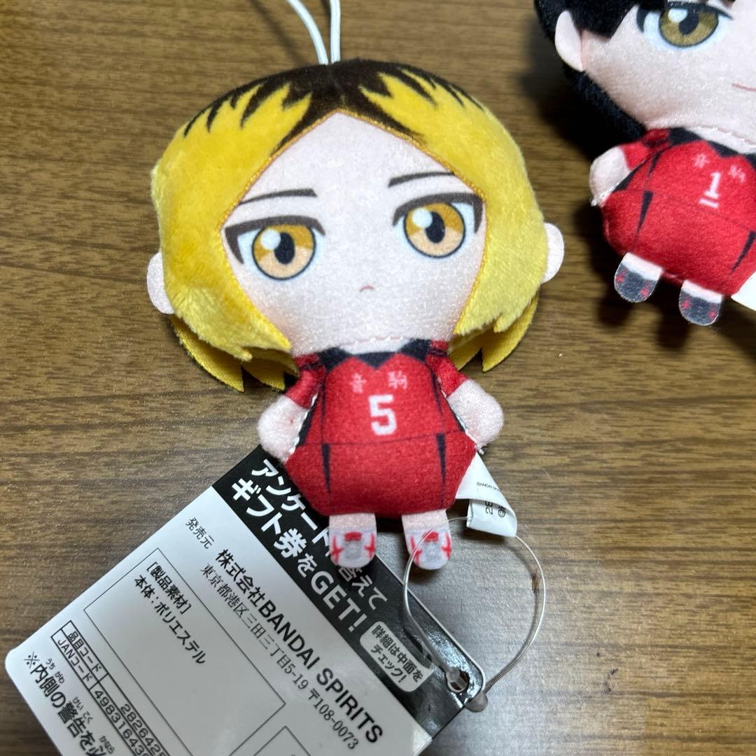 ハイキュー!!ぬいぐるみちゃーむvol.2 黒尾鉄朗,孤爪研磨 - メルカリ